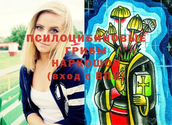 ALPHA-PVP Алексеевка