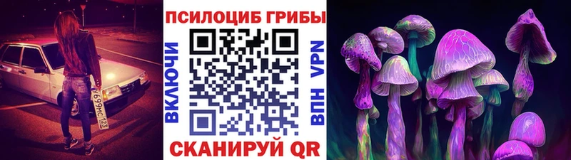 Галлюциногенные грибы прущие грибы  Санкт-Петербург 
