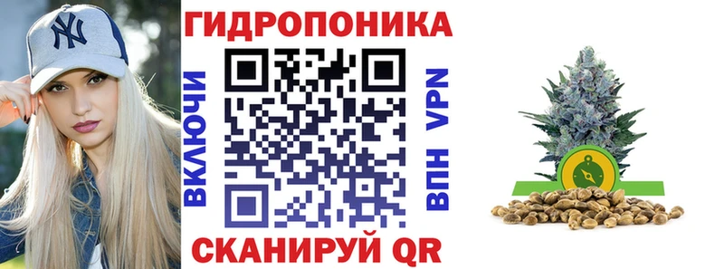 Канабис семена Санкт-Петербург