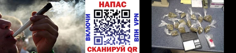 omg маркетплейс  даркнет сайт  Санкт-Петербург  Каннабис тримм 
